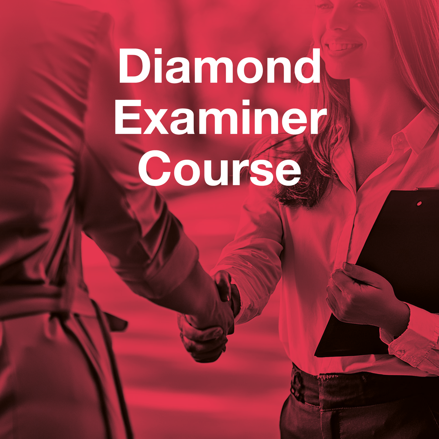 Diamond Examiner Course